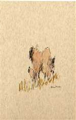 Sheep and Lambs