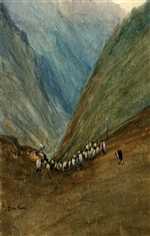 dales sheep