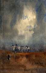 sheep being rounded up