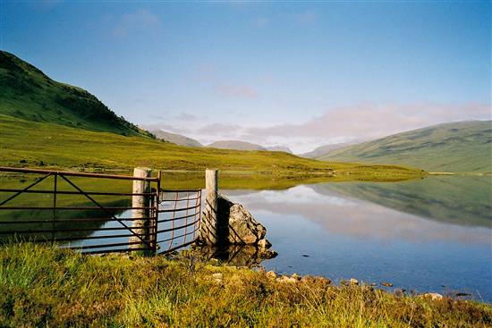 Fannichs Forest Loch a Bhraoin