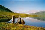 fannichs forest loch a bhraoin